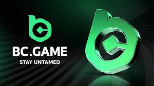 Understanding the Privacy Policy of BC.Game